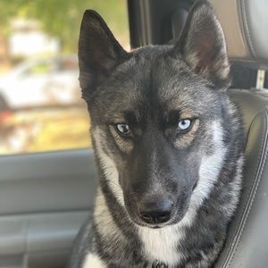 Meet your Posher, Kenna